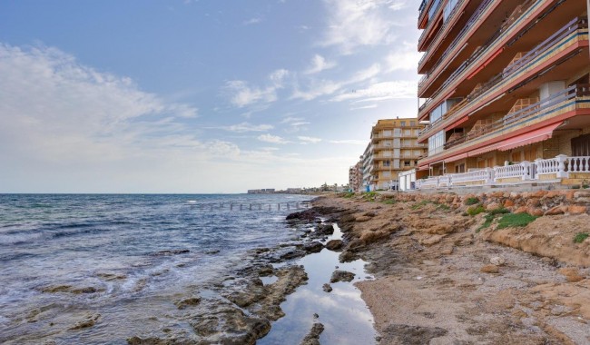 Segunda mano - Apartamento - Torrevieja - Playa de los Naufragos