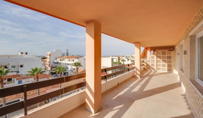 Segunda mano - Apartamento - Torrevieja - Playa de los Naufragos