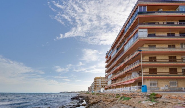 Segunda mano - Apartamento - Torrevieja - Playa de los Naufragos