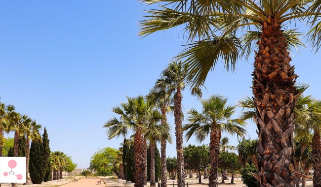 Nybyggnation - Villa - San Fulgencio - La Escuera