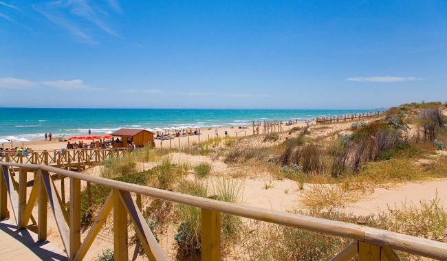 Nybyggnation - Lägenhet - Guardamar - Pueblo