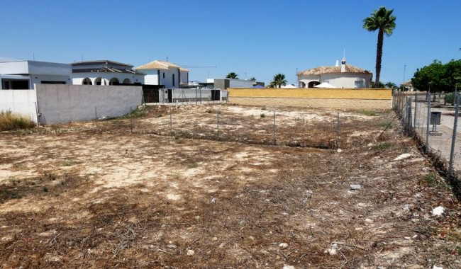 Resale - Plot - La Marina - Oasis