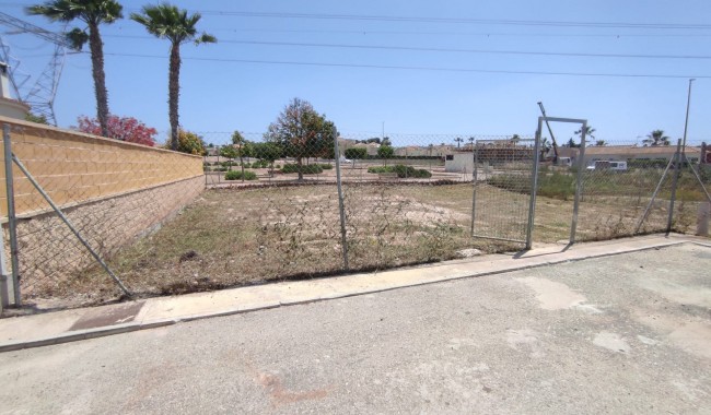 Resale - Plot - La Marina - Oasis