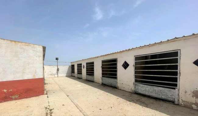 Brukt - Næringslokaler - Balsicas - Torre Pacheco