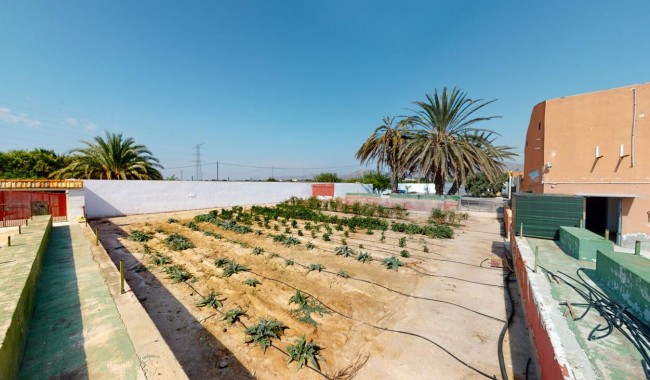 Sprzedaż - Kamienica - Albatera