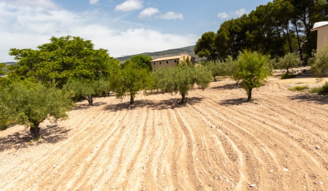 Resale - Villa - Ibi