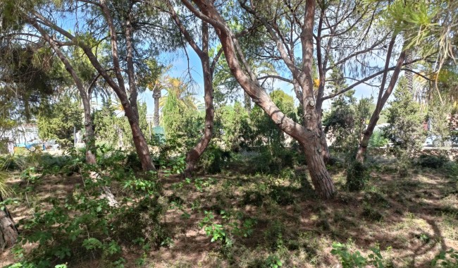 Segunda mano - Parcela - Orihuela Costa - Cabo Roig