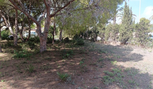 Segunda mano - Parcela - Orihuela Costa - Cabo Roig