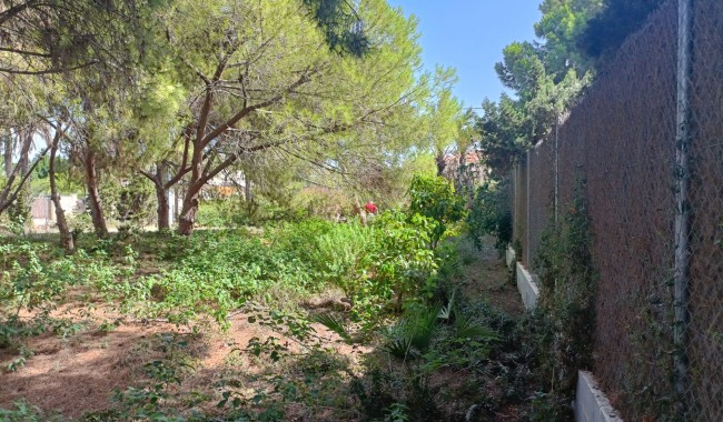 Segunda mano - Parcela - Orihuela Costa - Cabo Roig