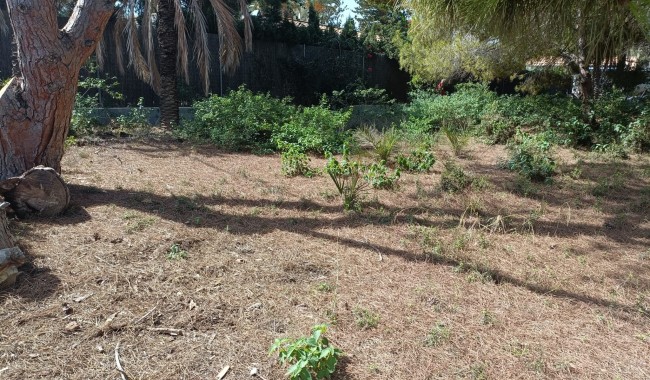 Segunda mano - Parcela - Orihuela Costa - Cabo Roig