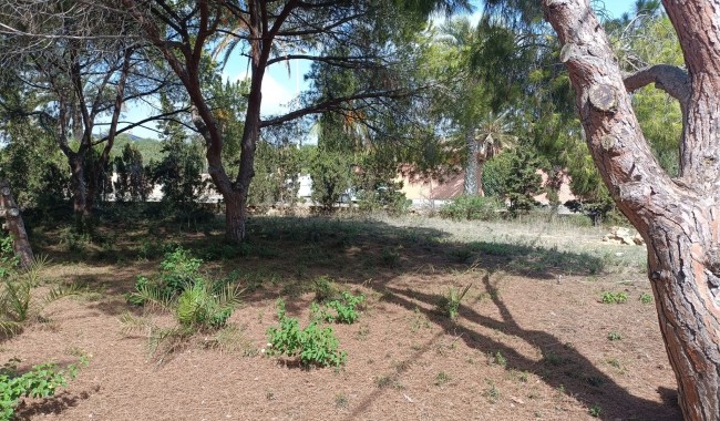 Segunda mano - Parcela - Orihuela Costa - Cabo Roig