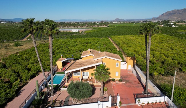 Begagnad - Finca - Orihuela - Correntías Medias