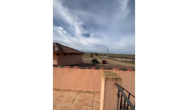 Segunda mano - Finca - Dolores - Costa Blanca