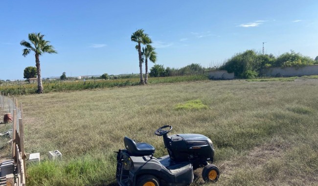 Segunda mano - Finca - Dolores - Costa Blanca