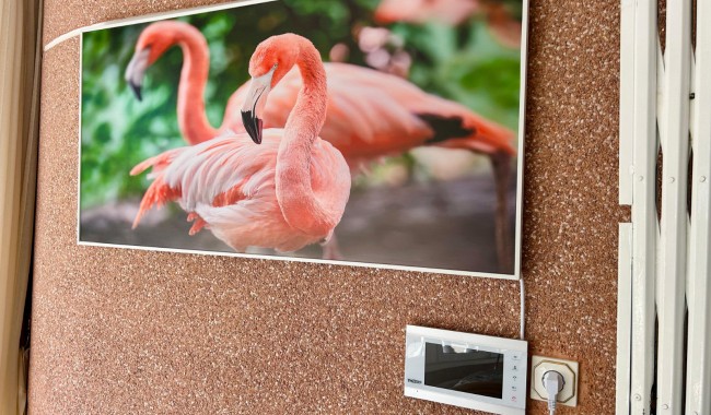 Begagnad - Villa - Torrevieja - El Chaparral