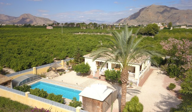 Begagnad - Finca - Orihuela - La Campaneta