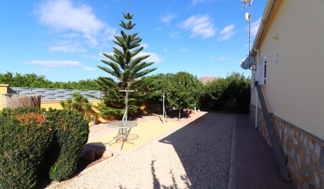 Begagnad - Finca - Orihuela - La Campaneta