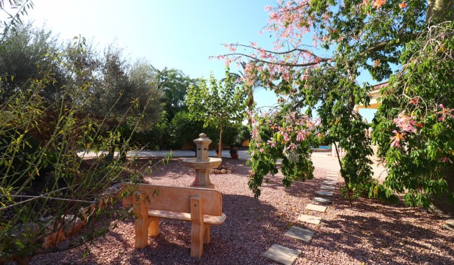 Begagnad - Finca - Orihuela - La Campaneta