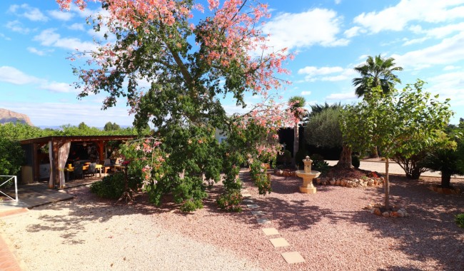 Begagnad - Finca - Orihuela - La Campaneta