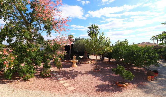 Begagnad - Finca - Orihuela - La Campaneta