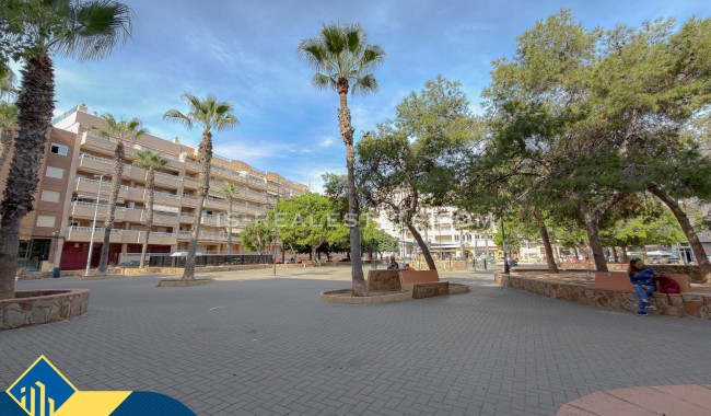 Sprzedaż - Apartament - Torrevieja - Playa de los locos