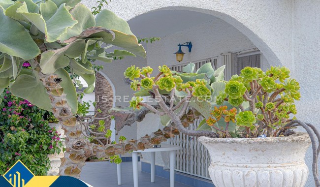 Segunda mano - Villa - Torrevieja - Los Angeles