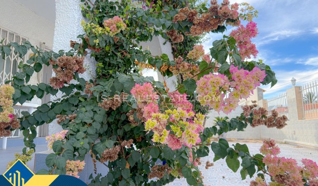 Segunda mano - Villa - Torrevieja - Los Angeles