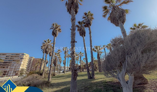 Segunda mano - Apartamento - Torrevieja - Cabo cervera