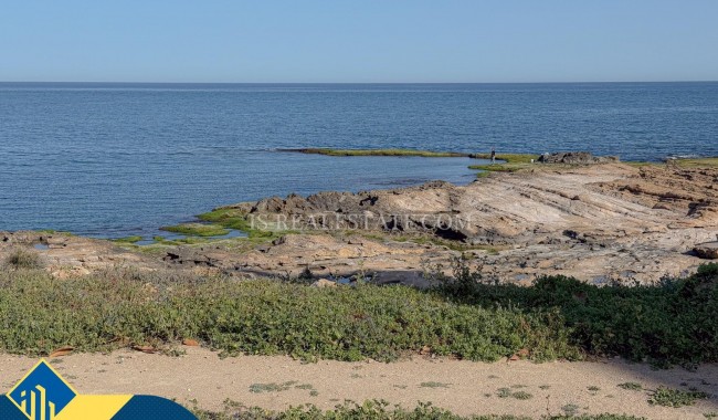 Segunda mano - Apartamento - Torrevieja - Cabo cervera