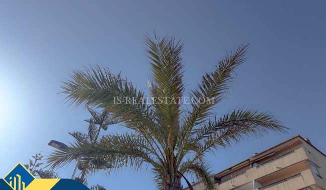 Segunda mano - Apartamento - Torrevieja - Cabo cervera