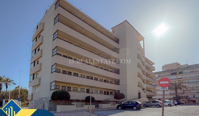 Segunda mano - Apartamento - Torrevieja - Cabo cervera