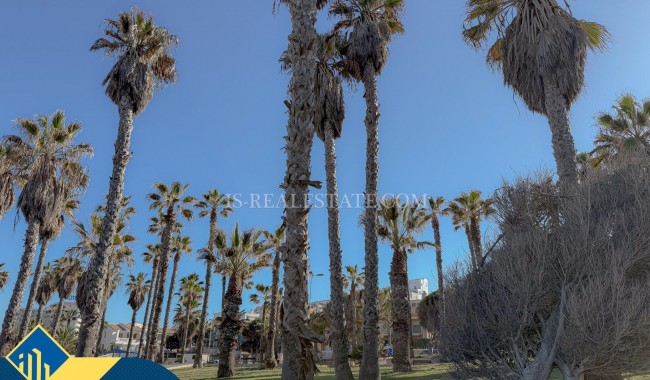 Segunda mano - Apartamento - Torrevieja - Cabo cervera