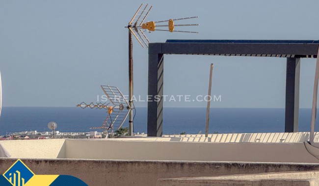 Segunda mano - Adosado - Orihuela - La Florida