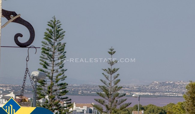 Segunda mano - Adosado - Orihuela - La Florida