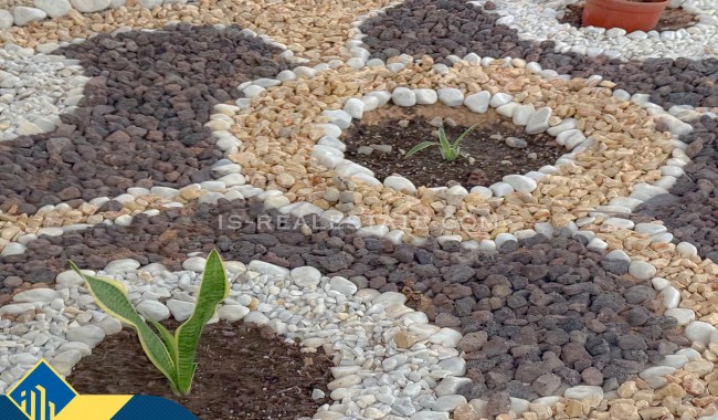 Begagnad - Lägenhet - Torrevieja - Centro