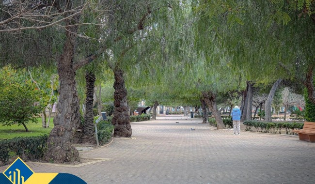 Begagnad - Lägenhet - Torrevieja - Centro