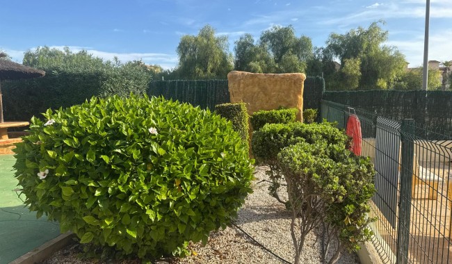 Sprzedaż - Kamienica - Orihuela - La Florida