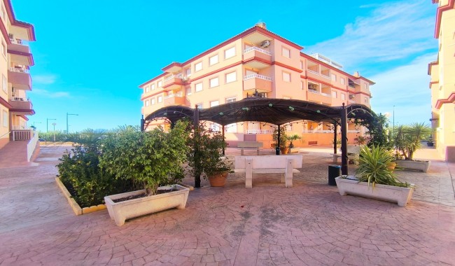 Sprzedaż - Apartament - Algorfa