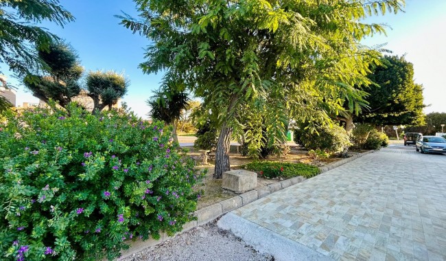 Segunda mano - Adosado - Torrevieja - Urbanización San Luis