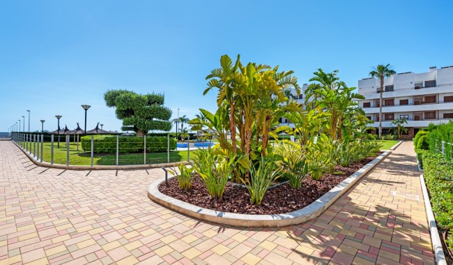 Segunda mano - Apartamento - Cabo Roig - Lomas de Cabo Roig