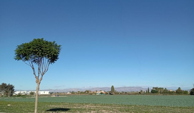 Brukt - Villa - Daya Vieja