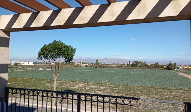 Brukt - Villa - Daya Vieja