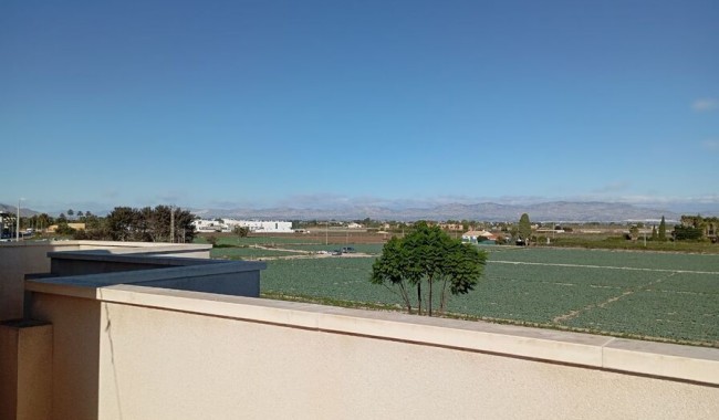 Brukt - Villa - Daya Vieja