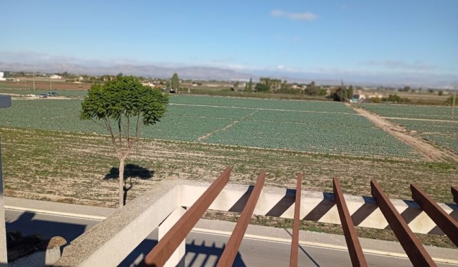 Brukt - Villa - Daya Vieja