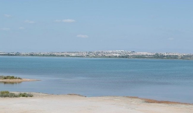 Resale - Apartment - La Mata - La Mata - Town