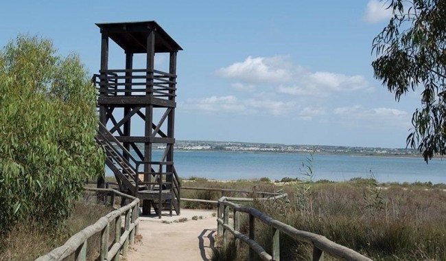 Resale - Apartment - La Mata - La Mata - Town