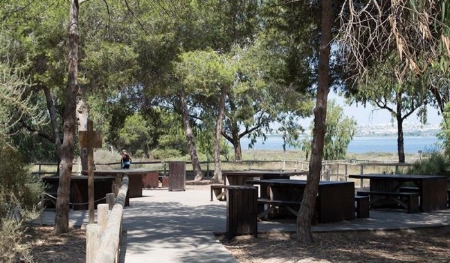 Resale - Apartment - La Mata - La Mata - Town