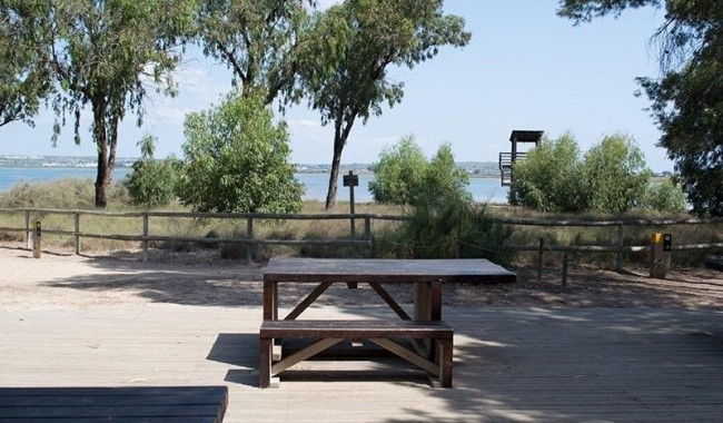 Resale - Apartment - La Mata - La Mata - Town