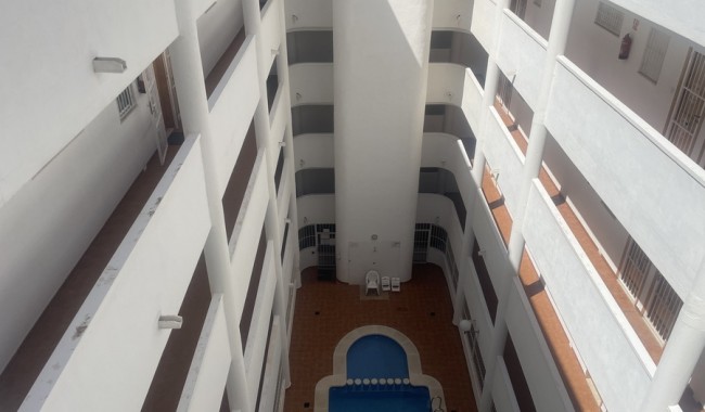 Begagnad - Lägenhet - Torrevieja