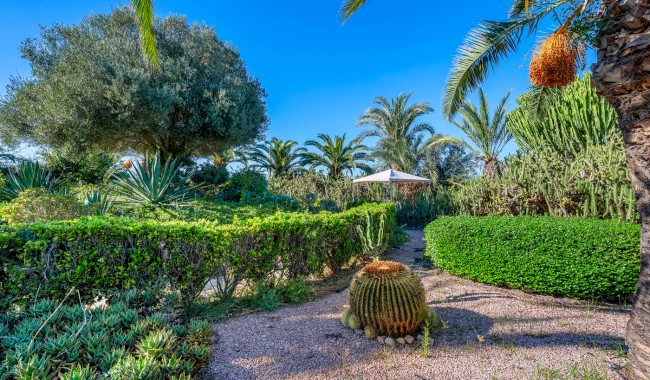 Resale - Finca - Los Montesinos